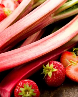Rhubarbe fraise