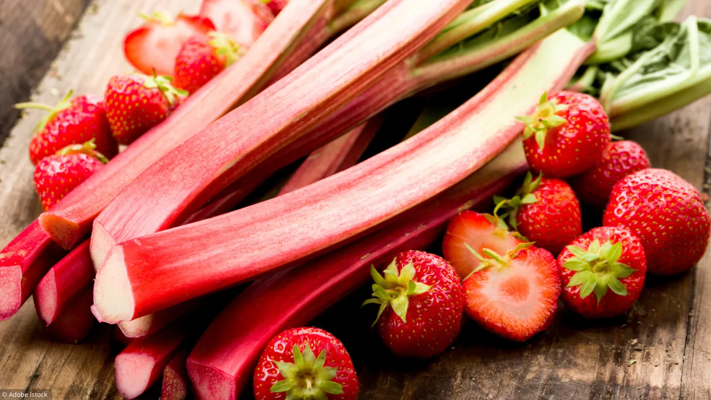 Un mélange savoureux pour un plein de vitamines avec nos fondants Rhubarbe fraise